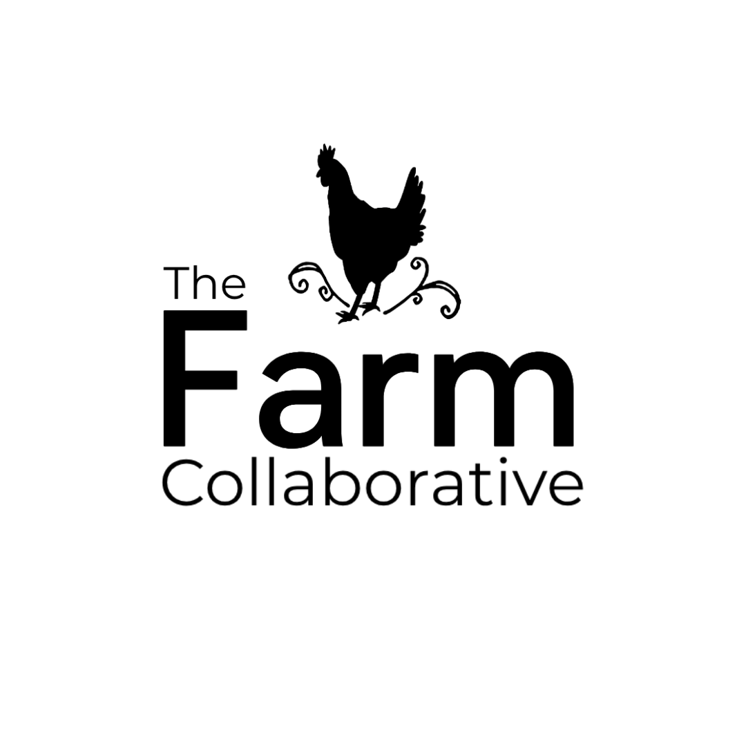 Earth Scouts After School Program 2026/2027 - logo